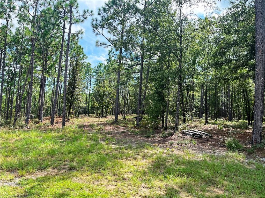 0 State Highway 225, Bay Minette, AL 36507 — photo 3