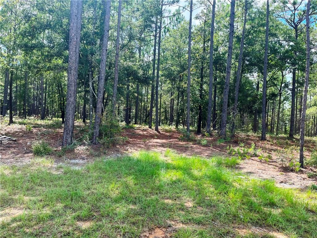 0 State Highway 225, Bay Minette, AL 36507 — photo 4