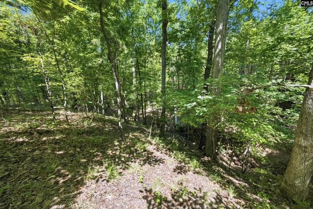 1579 Rockton Thruway Road, Winnsboro, SC 29180