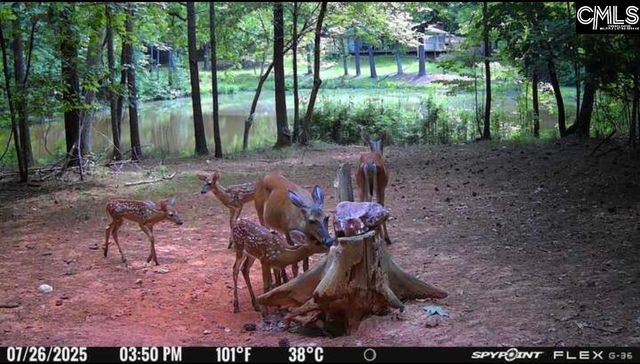 1579 Rockton Thruway Road, Winnsboro, SC 29180