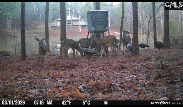 1579 Rockton Thruway Road, Winnsboro, SC 29180