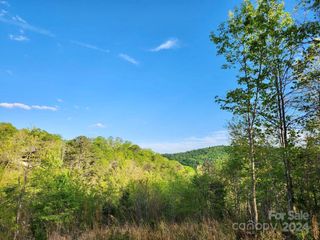 391 Red Fox Trail 16, Marshall, NC 28753