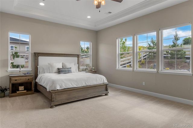 4227 Hickory Oaks Street, Castle Rock, CO 80104