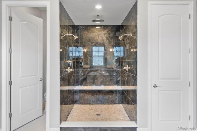 4227 Hickory Oaks Street, Castle Rock, CO 80104