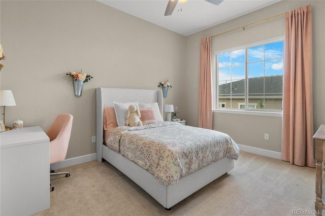 4227 Hickory Oaks Street, Castle Rock, CO 80104