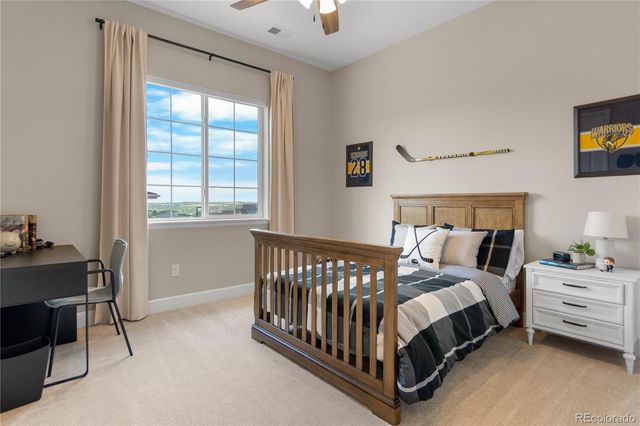 4227 Hickory Oaks Street, Castle Rock, CO 80104