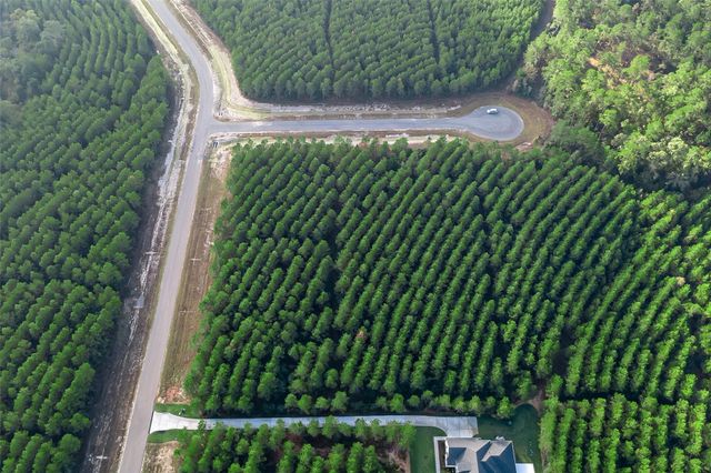 16320 Ridge Oak Road, Willis, TX 77378