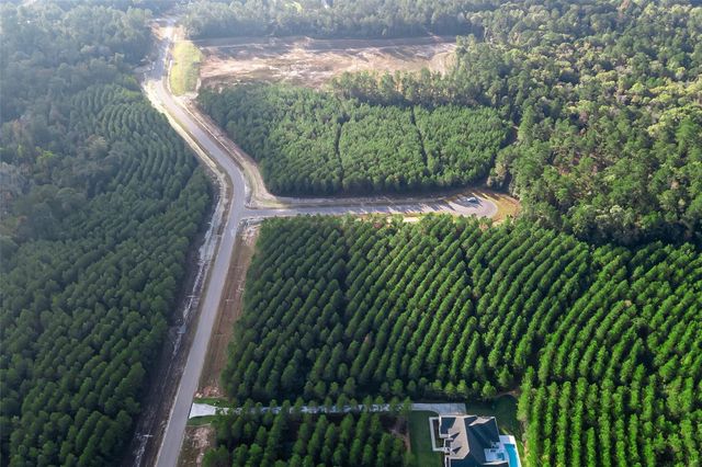 16320 Ridge Oak Road, Willis, TX 77378