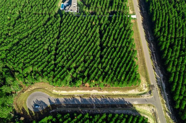 16320 Ridge Oak Road, Willis, TX 77378