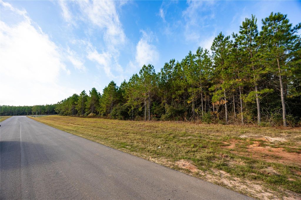 16320 Ridge Oak Road, Willis, TX 77378