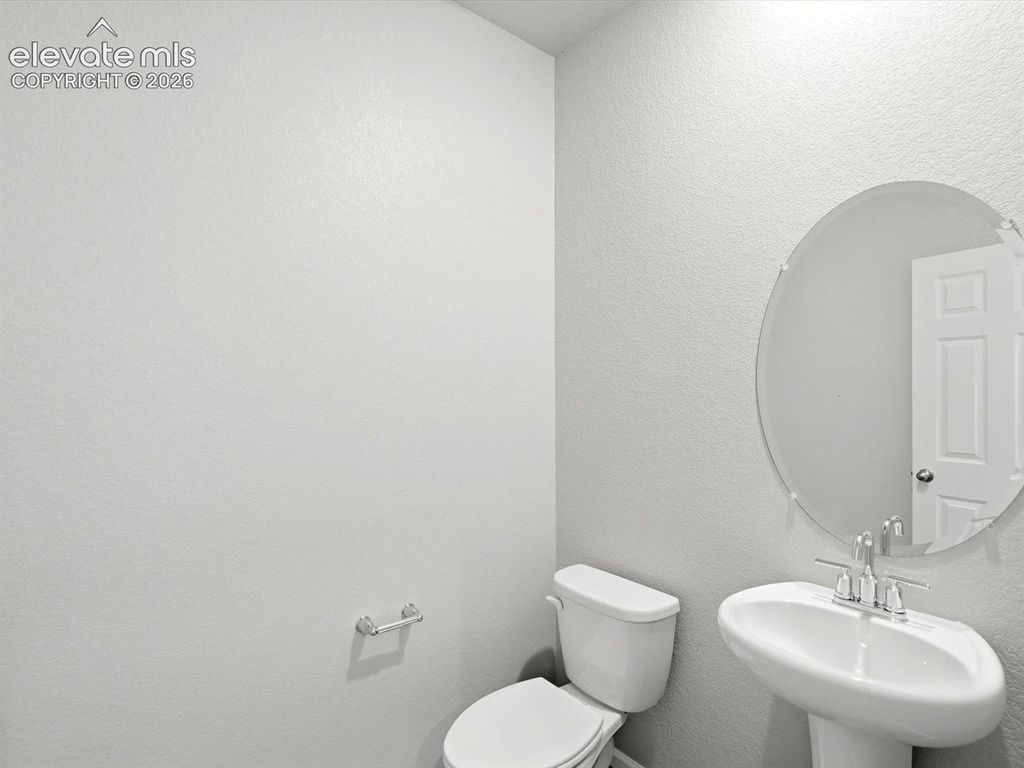 11313 Shadbush Lane, Colorado Springs, CO 80925 — photo 4