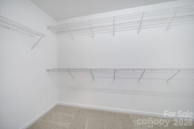 10209 Blakeney Preserve Drive, Charlotte, NC 28277