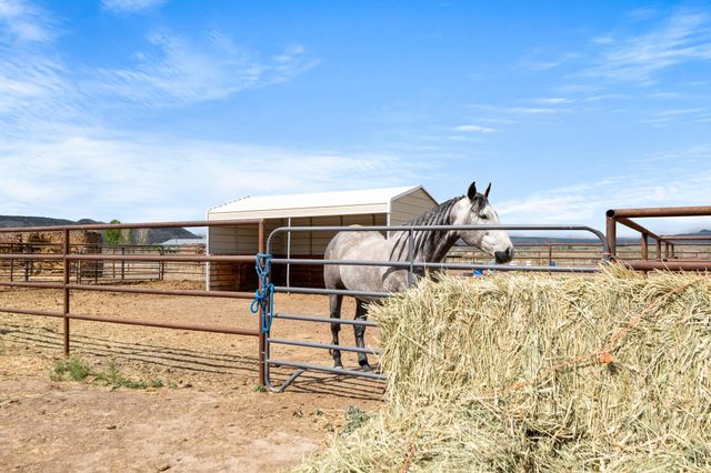 2022 45 Road, De Beque, CO 81630