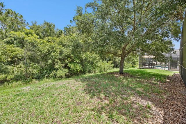 4460 NIRVANA PARKWAY, Kissimmee, FL 34746