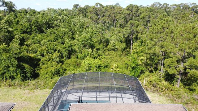 521 BRUNSWICK DRIVE, Davenport, FL 33837