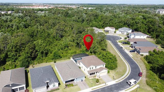 521 BRUNSWICK DRIVE, Davenport, FL 33837