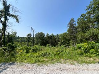 Lot 9 & 10 Button Wood, Theodosia, MO 65761