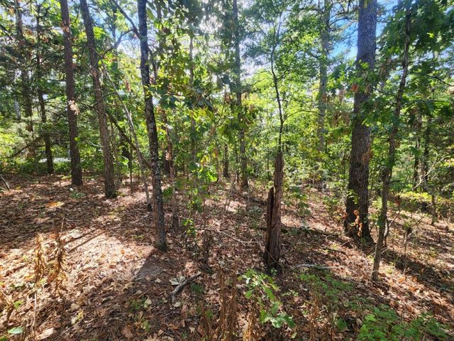 Lot 5 Redruth Lane, Bella Vista, AR 72714