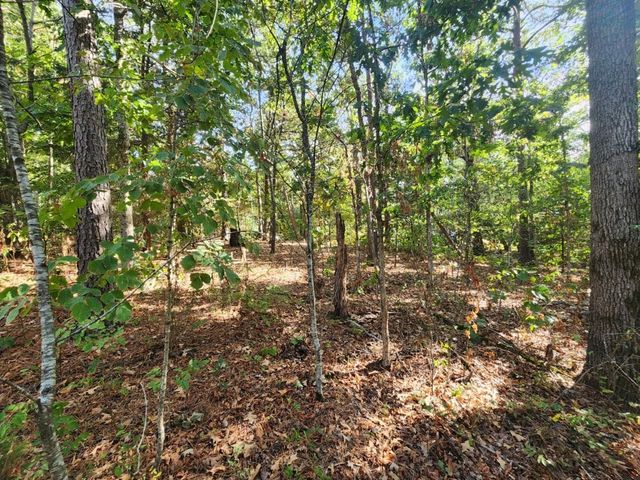 Lot 5 Redruth Lane, Bella Vista, AR 72714