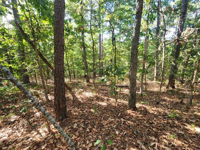 Lot 5 Redruth Lane, Bella Vista, AR 72714