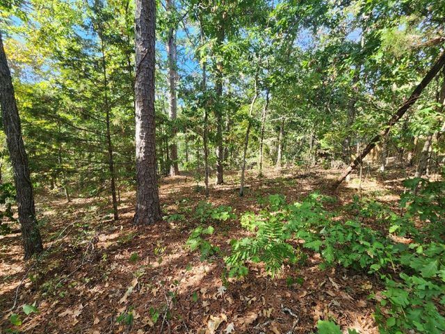 Lot 5 Redruth Lane, Bella Vista, AR 72714