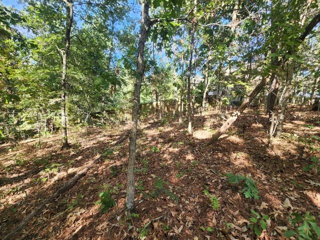Lot 5 Redruth Lane, Bella Vista, AR 72714
