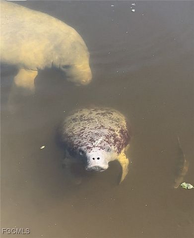 428 SW 39th AVE, Cape Coral, FL 33991