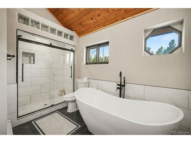71 Wildewood Dr, Nederland, CO 80466