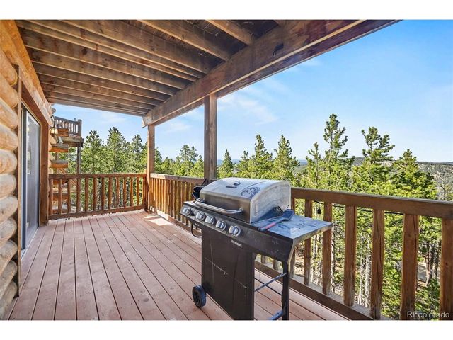 71 Wildewood Dr, Nederland, CO 80466