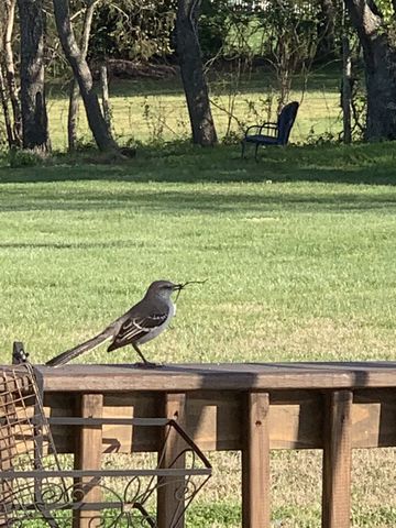 5000 Magnolia Estates Blvd, Mount Juliet, TN 37122