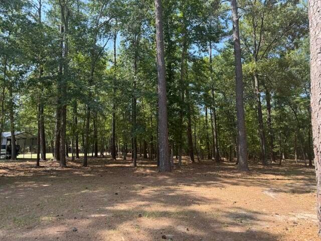 1323 Pleasure Drive, Summerton, SC 29148