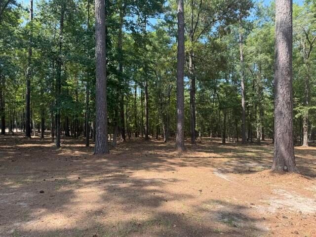 1323 Pleasure Drive, Summerton, SC 29148