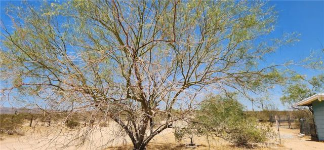 4675 Kickapoo Trail, Landers, CA 92285