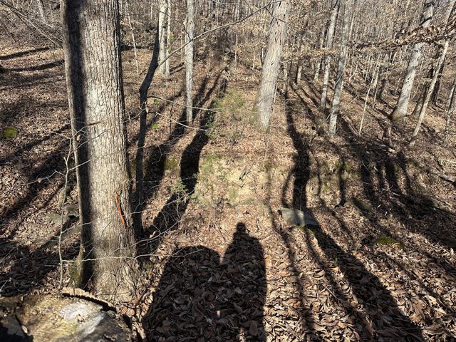 0 Whites Cave Rd, Sparta, TN 38583
