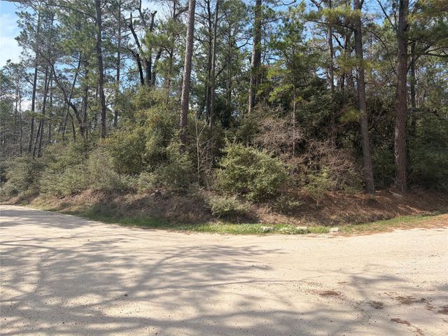 TBD Little Ponderosa Drive, Onalaska, TX 77360