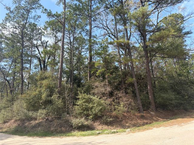 TBD Little Ponderosa Drive, Onalaska, TX 77360