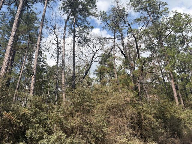 TBD Little Ponderosa Drive, Onalaska, TX 77360