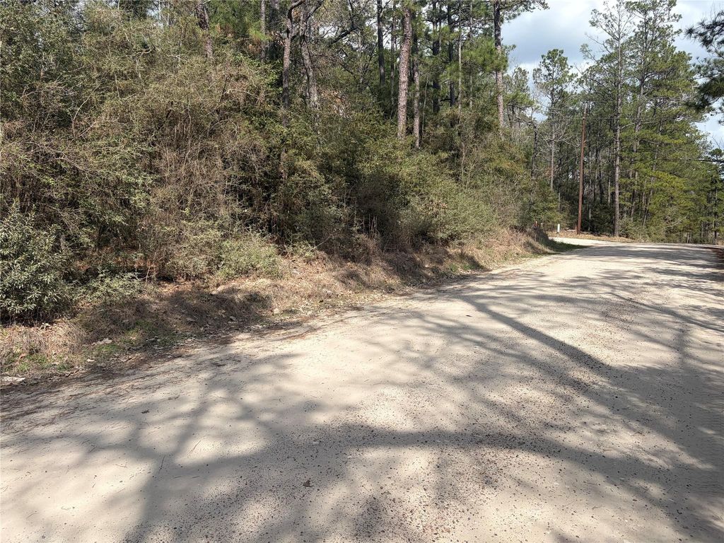 TBD Little Ponderosa Drive, Onalaska, TX 77360