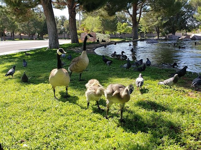 3229 Cutty Sark Street, Las Vegas, NV 89117