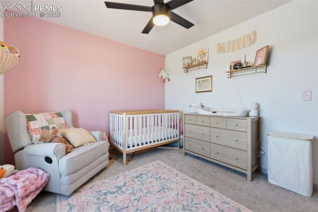1421 Will Scarlet Drive, Divide, CO 80814
