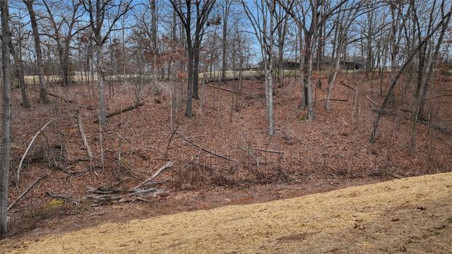 10 Branchwood Lane, Bella Vista, AR 72715