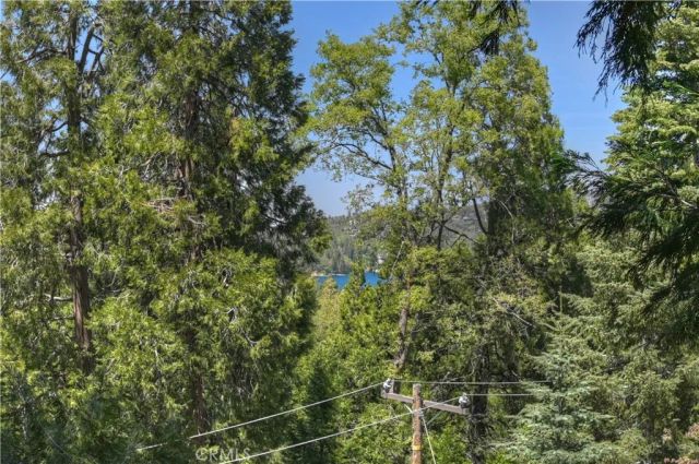 29015 Alder Terrace, Cedar Glen, CA 92321