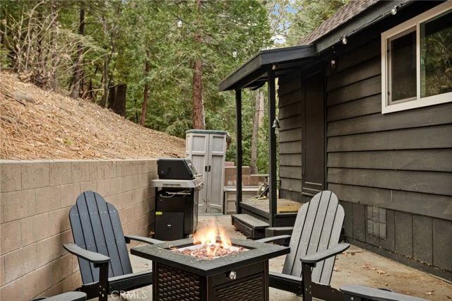 29015 Alder Terrace, Cedar Glen, CA 92321