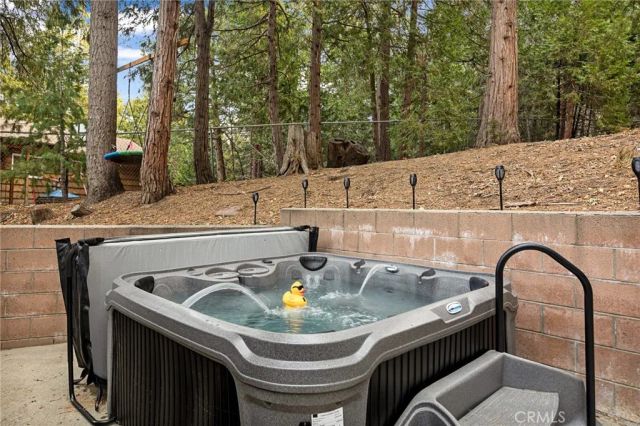 29015 Alder Terrace, Cedar Glen, CA 92321