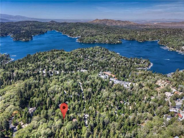 29015 Alder Terrace, Cedar Glen, CA 92321