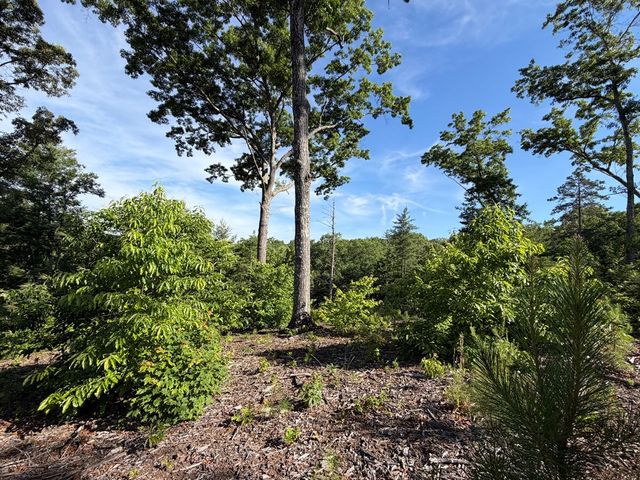 LT 304 Greenwood Court, Ellijay, GA 30540
