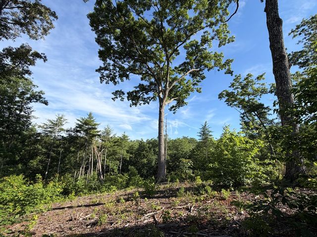 LT 304 Greenwood Court, Ellijay, GA 30540