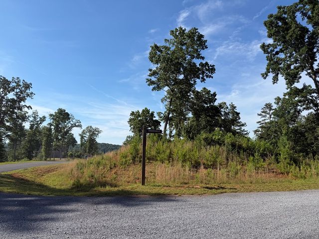 LT 304 Greenwood Court, Ellijay, GA 30540