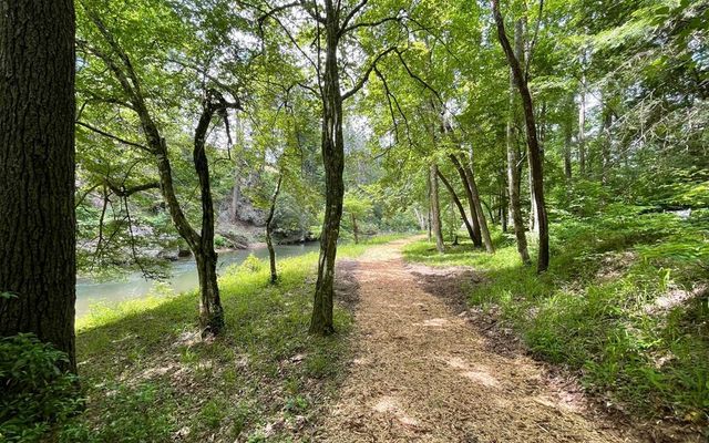 LT 304 Greenwood Court, Ellijay, GA 30540