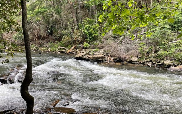 LT 304 Greenwood Court, Ellijay, GA 30540